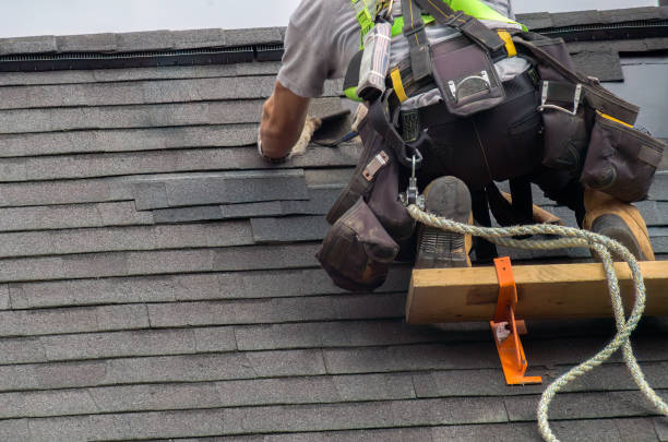 Best Storm Damage Roof Repair  in Davenport, FL