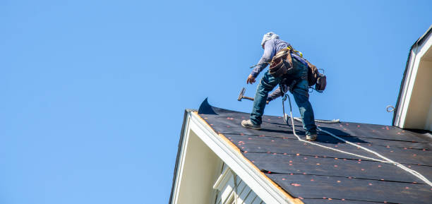 Best Residential Roof Replacement  in Davenport, FL